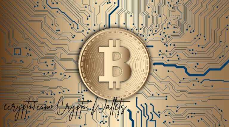 ecrypto1.com Crypto Wallets