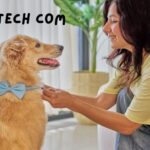 zendogtech com