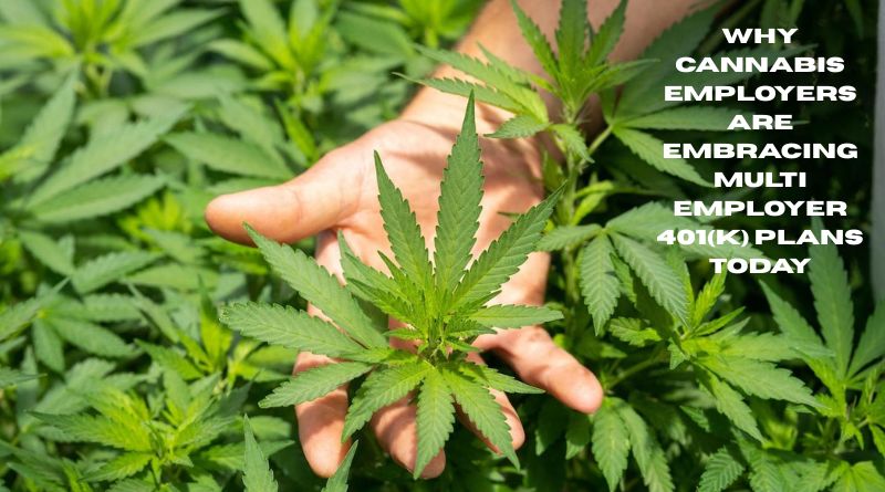 Why Cannabis Employers Are Embracing Multi Employer 401(k) Plans Today